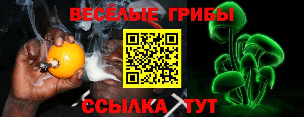 Майский  Псилоцибиновые грибы GOLDEN TEACHER  хочу наркоту  Вход с VPN 